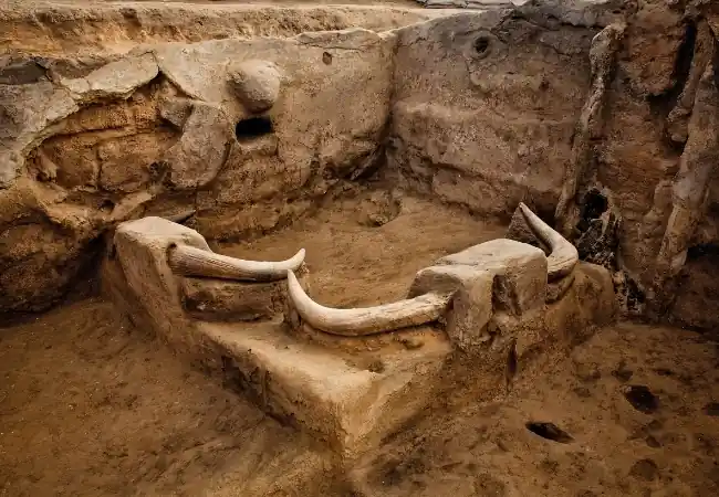 Catalhoyuk Archaeological Site Tour From Istanbul