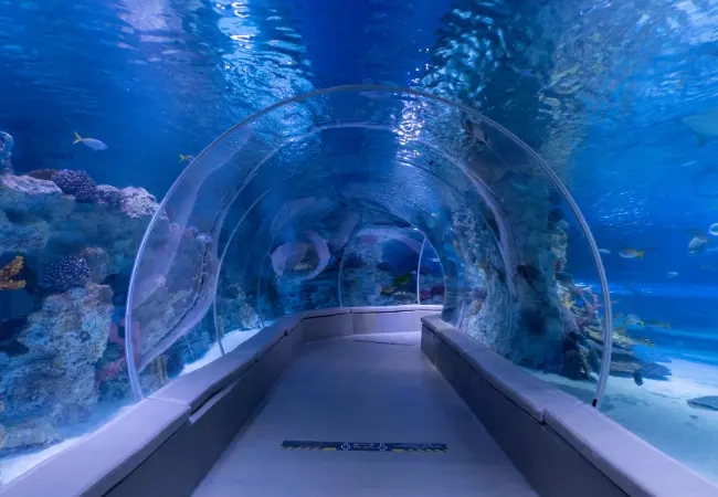 Emaar Aquarium And Underwater Zoo