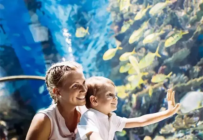 Emaar Aquarium And Underwater Zoo