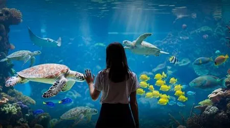 Emaar Aquarium og undervannszoo