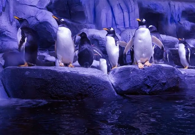 Istanbul Aquarium Florya