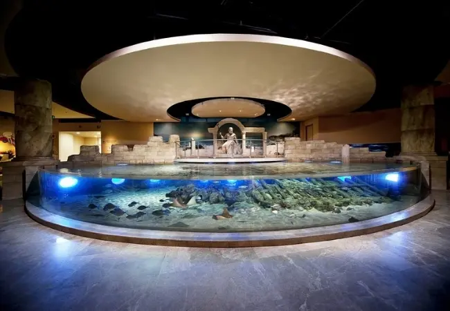 Istanbul Aquarium Florya