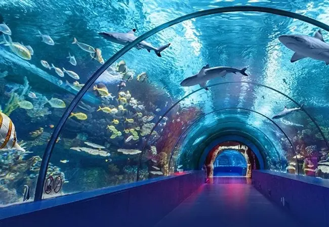 Istanbul Aquarium Florya