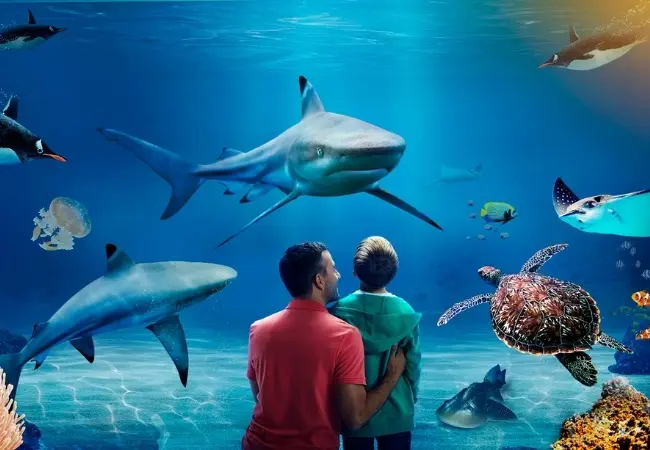 Istanbul Aquarium Florya