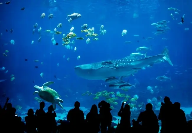 Istanbul Aquarium Florya