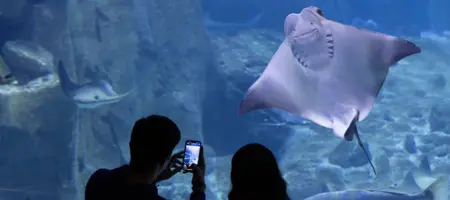 Istanbul Aquarium Florya