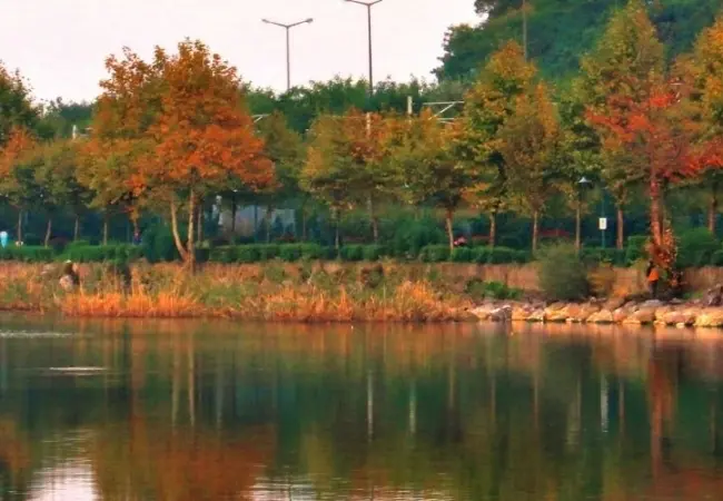 Sapanca Lake And Masukiye Tour Day Trip From Istanbul