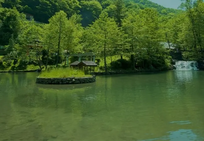 Sapanca Lake And Masukiye Tour Day Trip From Istanbul